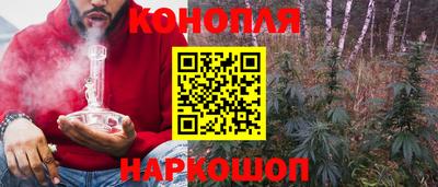 индика Новокубанск