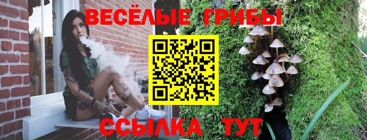 Галлюциногенные грибы Psilocybine cubensis  Вход с VPN  Сургут 